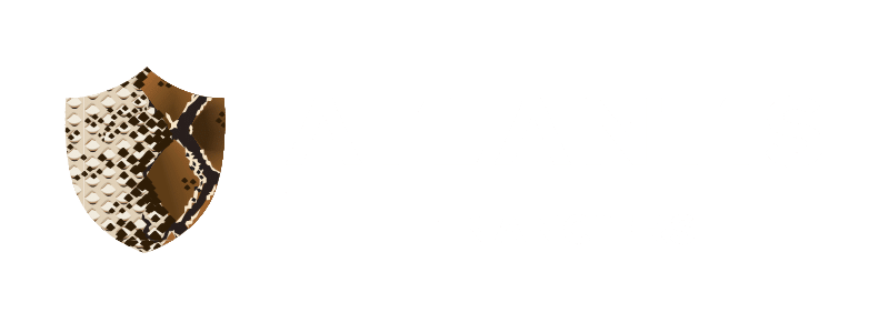Atlantis Financiers N.V.